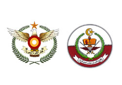 QATAR EMIRI AIR FORCE QATAR ARMED FORCES