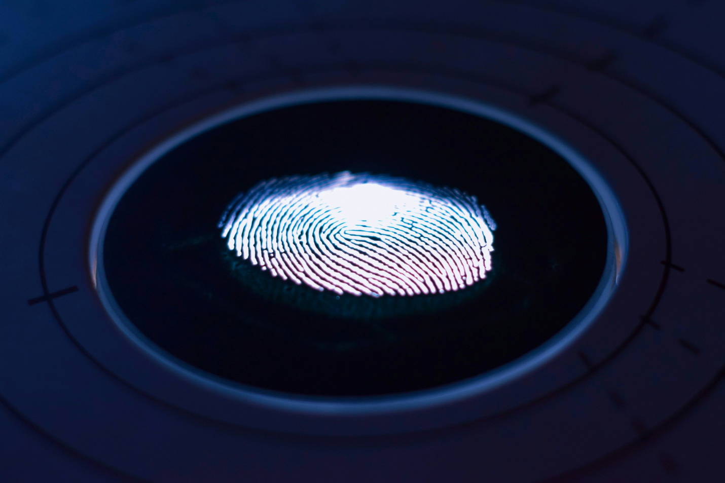 A finger scan